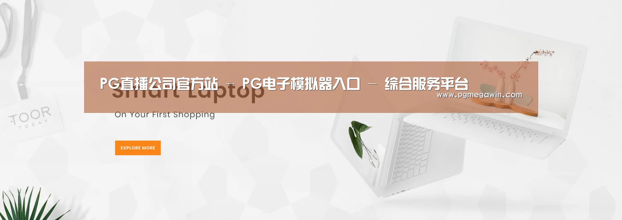 某某网络科技有限公司