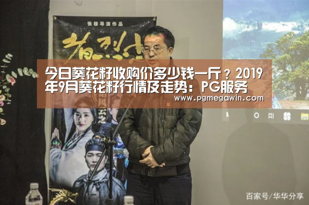 今日葵花籽收购价多少钱一斤?2019年9月葵花籽行情及走势:PG服务(图2) PG公司