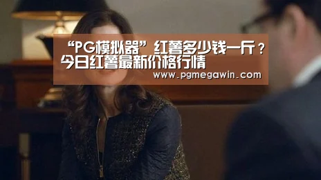 PG服务