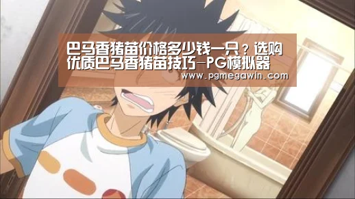 PG直播