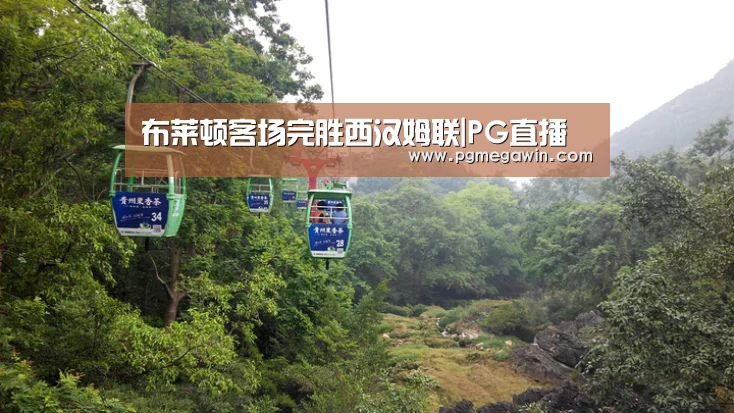 PG直播