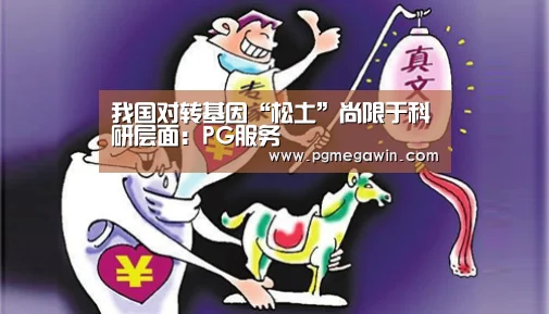 PG服务