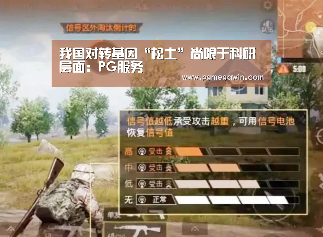 PG公司