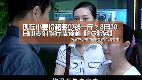 PG模拟器