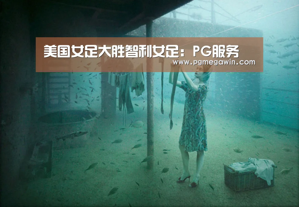 PG模拟器