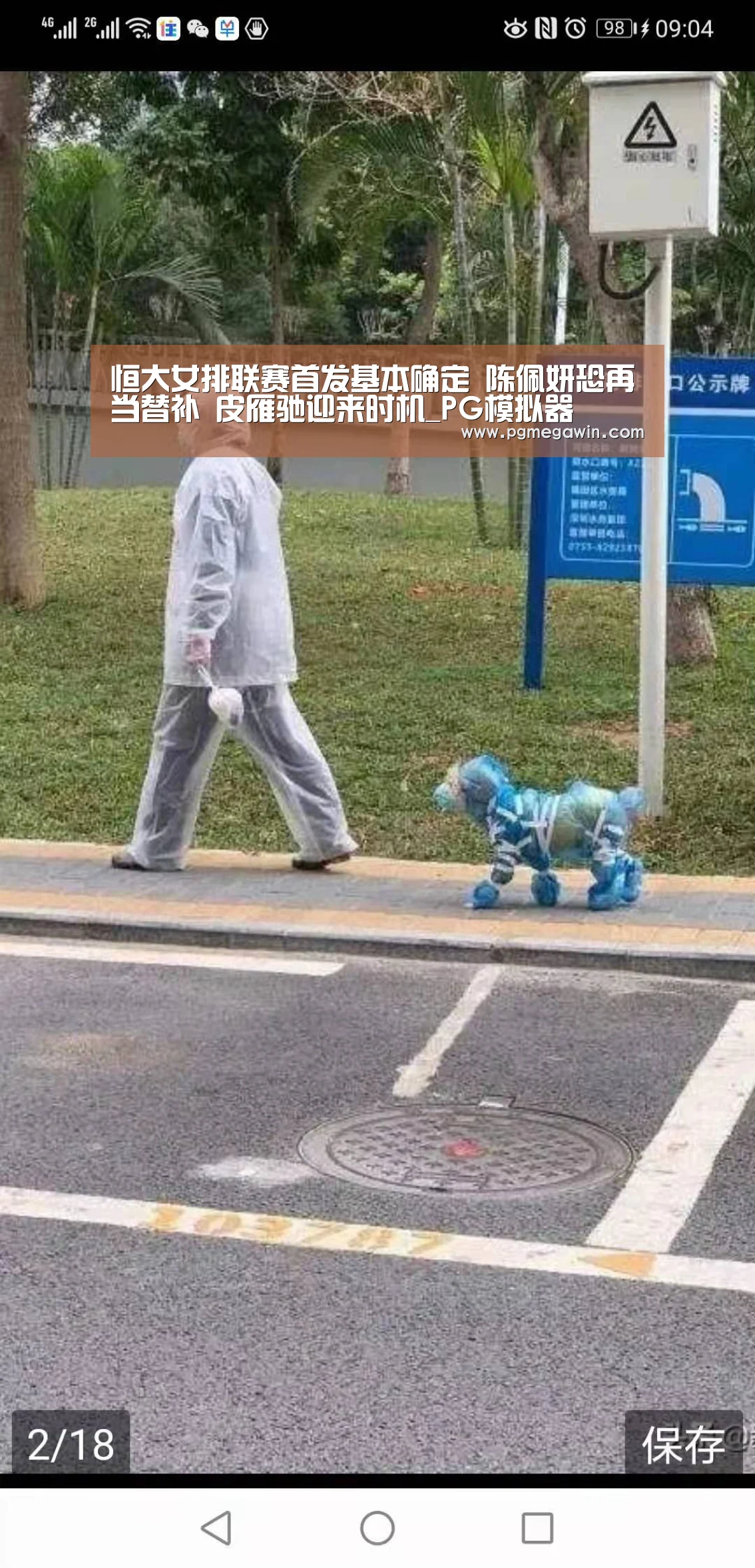 PG直播