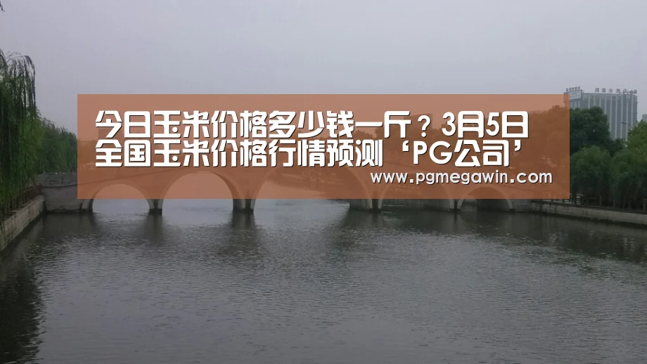 今日玉米价格多少钱一斤?3月5日全国玉米价格行情预测‘PG公司’(图1) PG模拟器