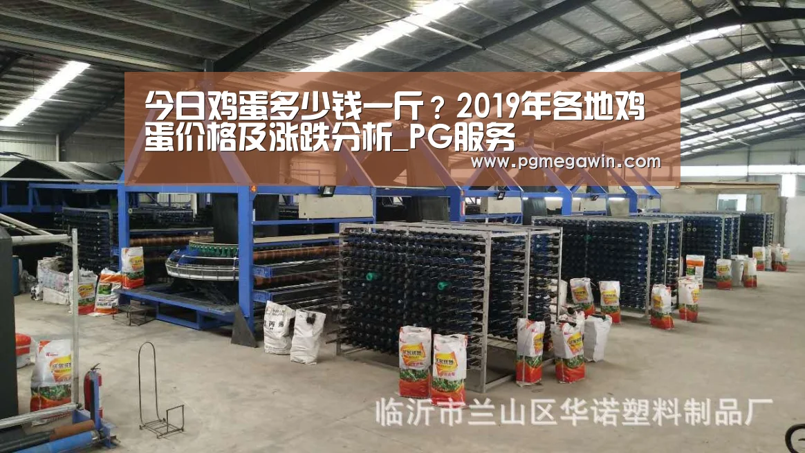 今日鸡蛋多少钱一斤?2019年各地鸡蛋价格及涨跌分析_PG服务(图1) PG直播