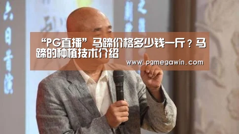 PG模拟器