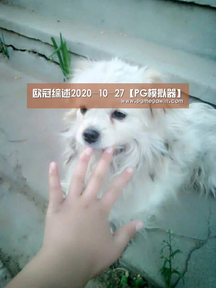 PG模拟器