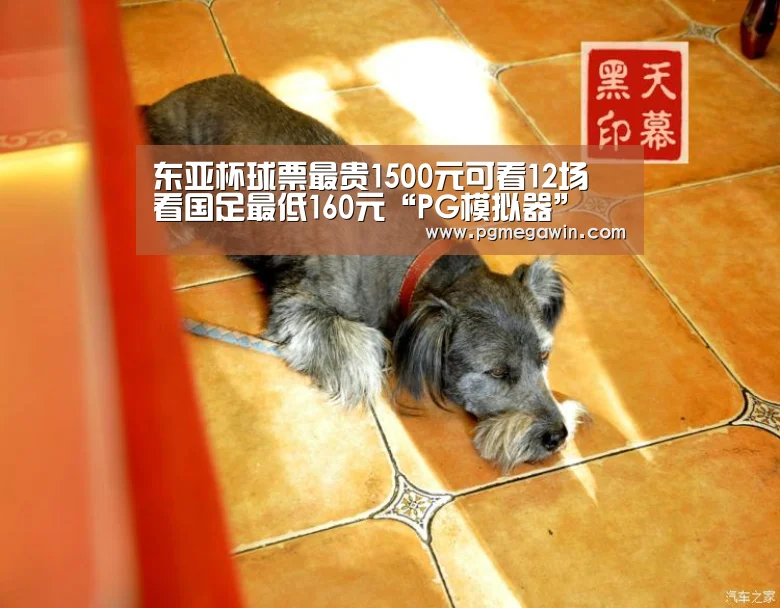 东亚杯球票最贵1500元可看12场 看国足最低160元“PG模拟器”(图1) PG公司
