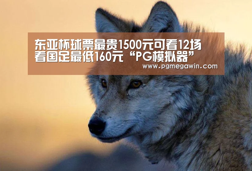 东亚杯球票最贵1500元可看12场 看国足最低160元“PG模拟器”(图2) PG模拟器
