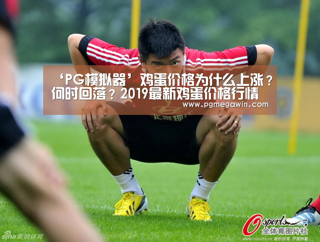 PG公司