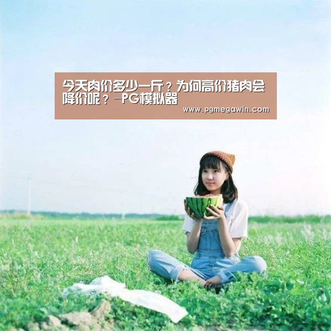 今天肉价多少一斤?为何高价猪肉会降价呢?-PG模拟器(图3) PG直播