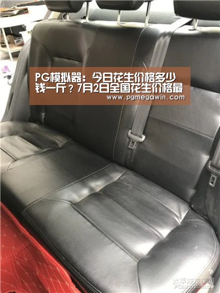 PG公司